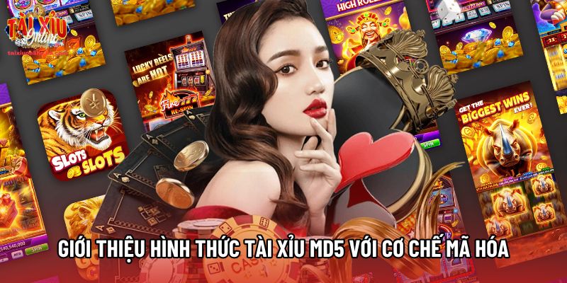 Giới thiệu hình thức Tài Xỉu MD5 với cơ chế mã hóa Giới thiệu hình thức Tài Xỉu MD5 với cơ chế mã hóa