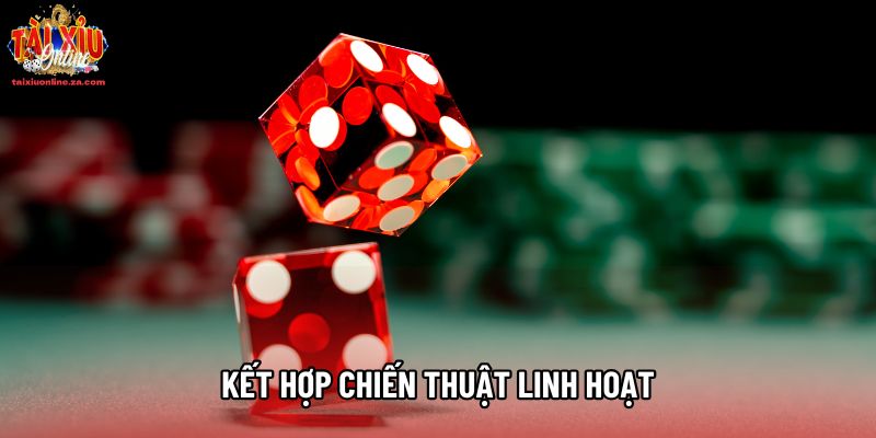 Kết hợp chiến thuật linh hoạt Kết hợp chiến thuật linh hoạt