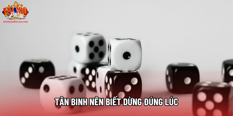 Tân binh nên biết dừng đúng lúc Tân binh nên biết dừng đúng lúc